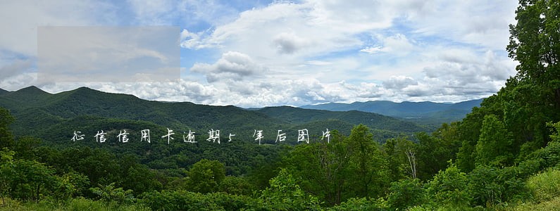 征信信用卡逾期5年后图片 征信信用卡逾期5年后图片