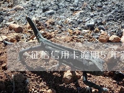 征信信用卡逾期5年消除吗 征信信用卡逾期5年消除吗