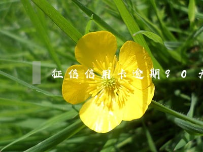 征信信用卡逾期90天 征信信用卡逾期90天