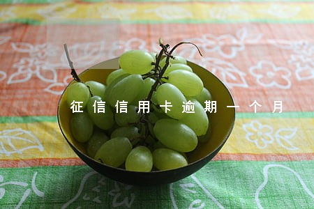 征信信用卡逾期一个月 征信信用卡逾期一个月