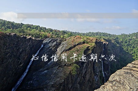 征信信用卡逾期六次 征信信用卡逾期六次
