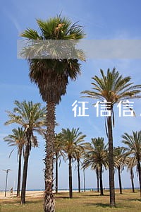 征信信用卡逾期几次银行贷款