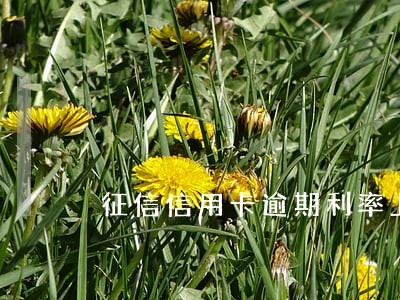 征信信用卡逾期利率上浮