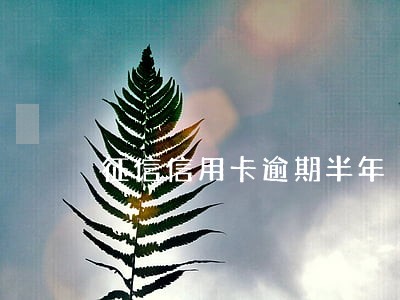 征信信用卡逾期半年