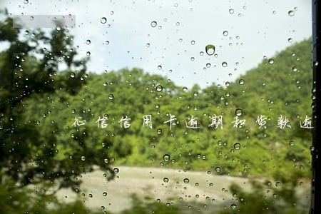 征信信用卡逾期和货款逾期各1次