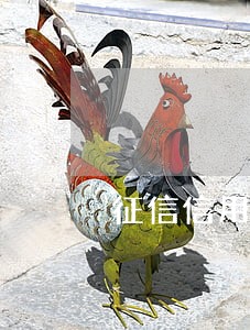 征信信用卡逾期图片 征信信用卡逾期图片