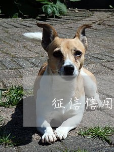 征信信用卡逾期多久会消失 征信信用卡逾期多久会消失