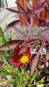 征信信用卡逾期多久会消除 征信信用卡逾期多久会消除