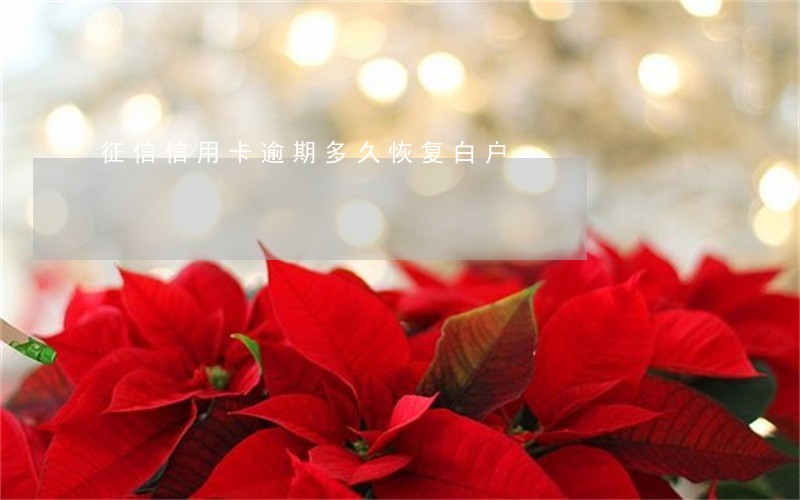 征信信用卡逾期多久恢复白户 征信信用卡逾期多久恢复白户