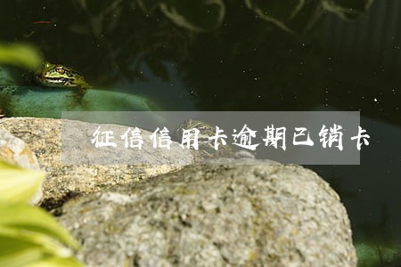 征信信用卡逾期已销卡 征信信用卡逾期已销卡