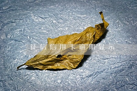征信信用卡逾期显示 征信信用卡逾期显示