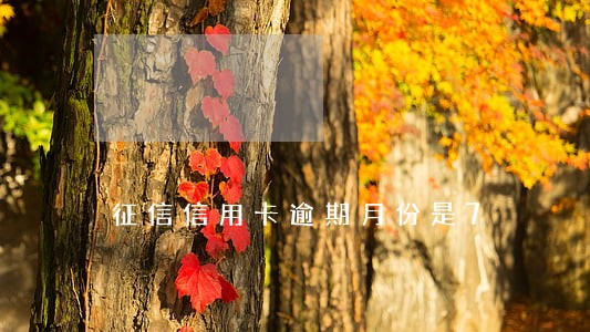 征信信用卡逾期月份是7 征信信用卡逾期月份是7