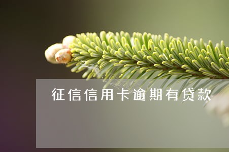 征信信用卡逾期有贷款 征信信用卡逾期有贷款