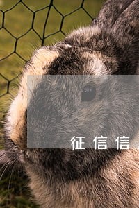 征信信用卡逾期消除