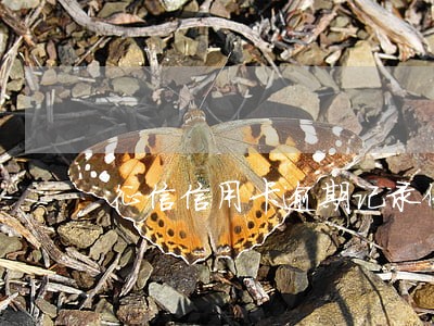 征信信用卡逾期记录保持多久