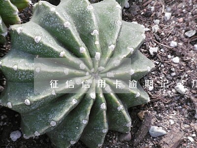 征信信用卡逾期记录几年消