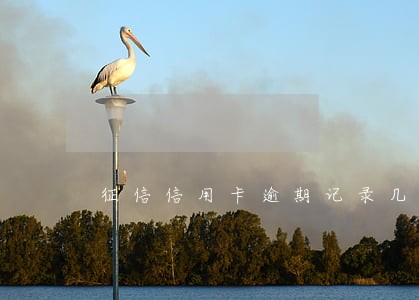 征信信用卡逾期记录几年消除 征信信用卡逾期记录几年消除