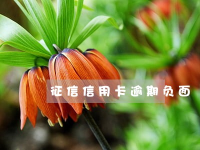 征信信用卡逾期负面