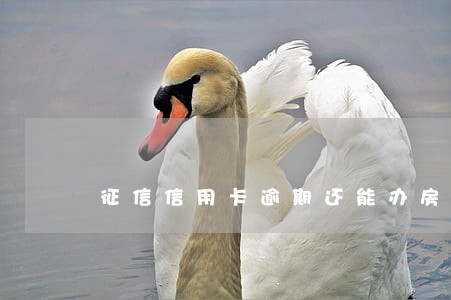 征信信用卡逾期还能办房贷吗 征信信用卡逾期还能办房贷吗