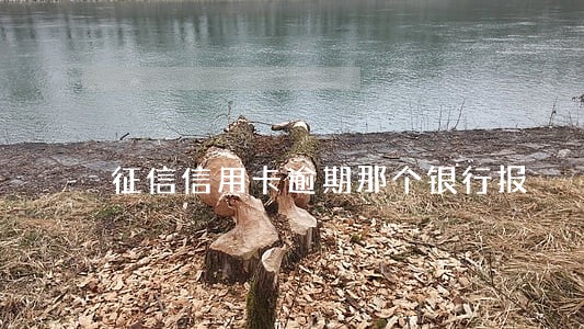 征信信用卡逾期那个银行报 征信信用卡逾期那个银行报