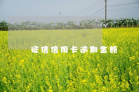 征信信用卡逾期金额 征信信用卡逾期金额