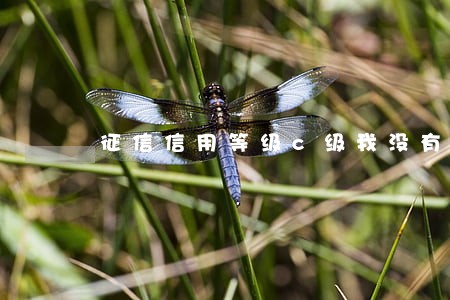 征信信用等级c级我没有逾期过 征信信用等级c级我没有逾期过