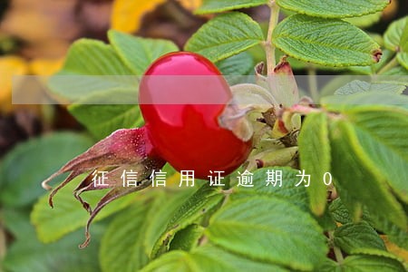 征信信用证逾期为0 征信信用证逾期为0