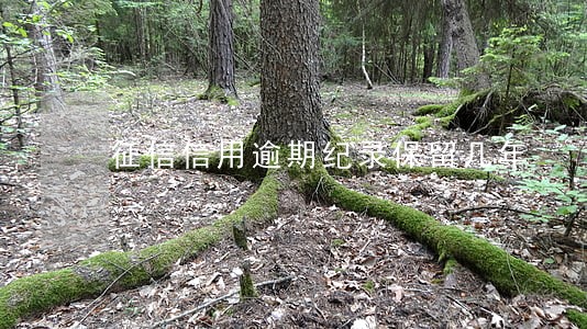 征信信用逾期纪录保留几年 征信信用逾期纪录保留几年