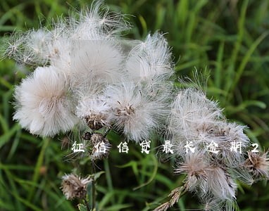 征信信贷最长逾期2 征信信贷最长逾期2