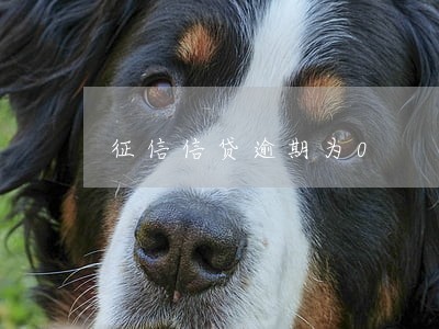 征信信贷逾期为0 征信信贷逾期为0