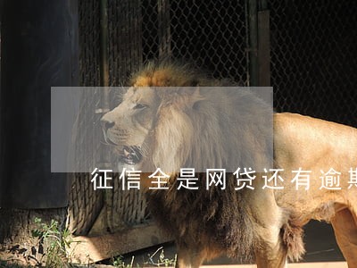 征信全是网贷还有逾期记录 征信全是网贷还有逾期记录