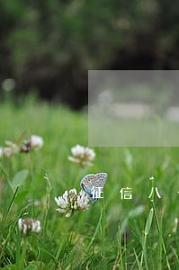 征信八千块钱逾期5个月买房 征信八千块钱逾期5个月买房