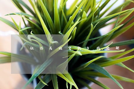 征信其他贷款3次逾期 征信其他贷款3次逾期