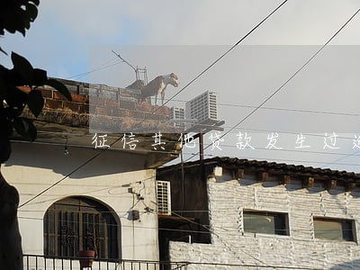 征信其他贷款发生过逾期 征信其他贷款发生过逾期