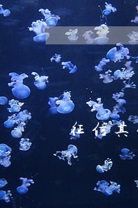 征信其他贷款逾期多久消除 征信其他贷款逾期多久消除