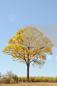 征信其他逾期信用卡会降额么 征信其他逾期信用卡会降额么