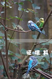 征信其它贷款逾期 征信其它贷款逾期