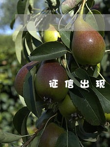 征信出现逾期1显示关注 征信出现逾期1显示关注