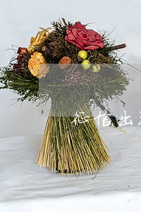 征信出现逾期超过90天怎么办 征信出现逾期超过90天怎么办