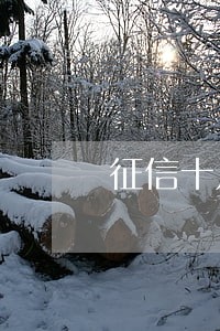 征信十几条网贷逾期记录