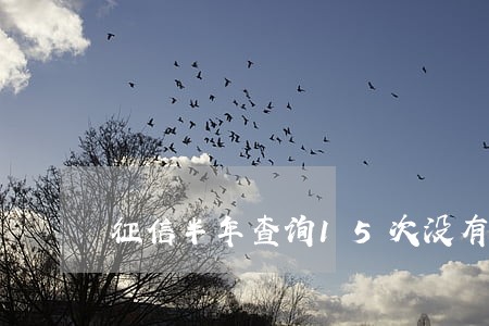 征信半年查询15次没有逾期 征信半年查询15次没有逾期