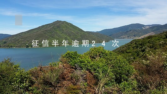 征信半年逾期24次 征信半年逾期24次