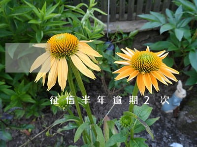 征信半年逾期2次