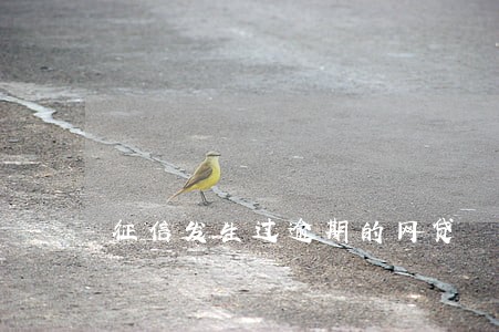 征信发生过逾期的网贷 征信发生过逾期的网贷