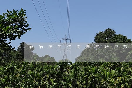 征信发生过逾期的账户数10个 征信发生过逾期的账户数10个