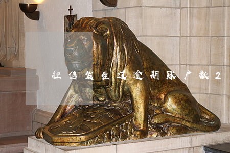 征信发生过逾期账户数2可贷款吗 征信发生过逾期账户数2可贷款吗