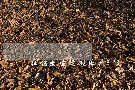 征信发生逾期账户28
