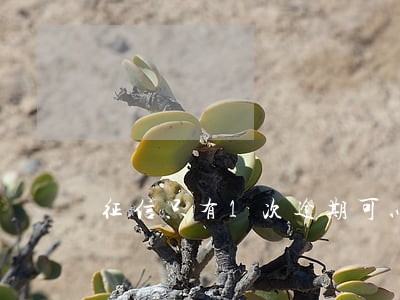 征信只有1次逾期可以申请房贷么