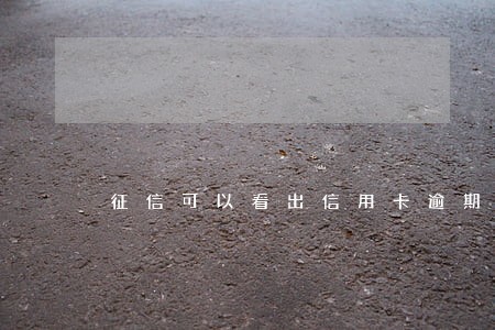 征信可以看出信用卡逾期吗 征信可以看出信用卡逾期吗
