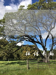 征信呆账是不是只还本金 征信呆账是不是只还本金